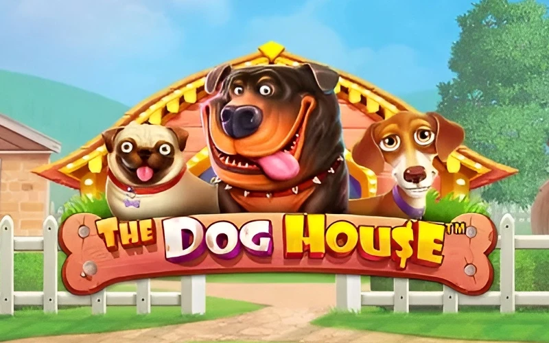 Divertidas funciones, comodines multiplicadores y bonificaciones te esperan en The Dog House.
